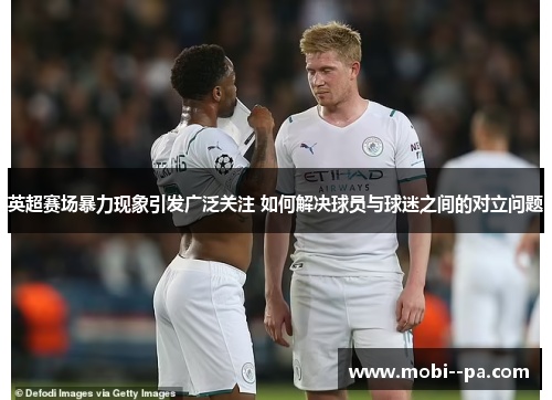 英超赛场暴力现象引发广泛关注 如何解决球员与球迷之间的对立问题