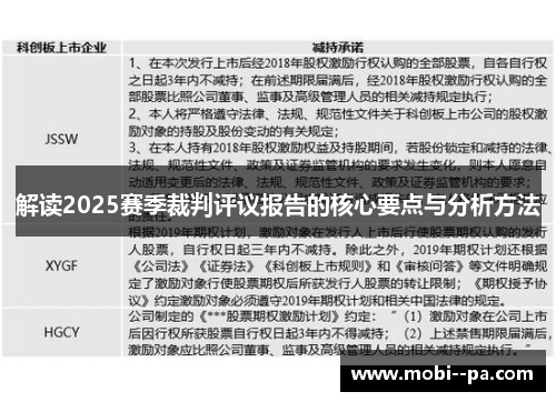 解读2025赛季裁判评议报告的核心要点与分析方法