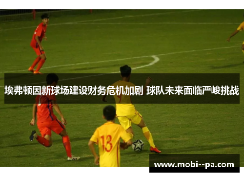 埃弗顿因新球场建设财务危机加剧 球队未来面临严峻挑战