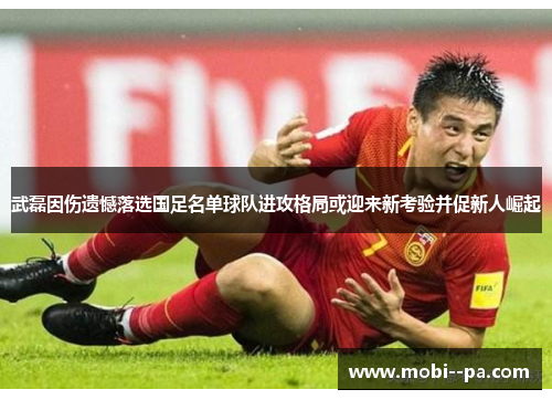 武磊因伤遗憾落选国足名单球队进攻格局或迎来新考验并促新人崛起