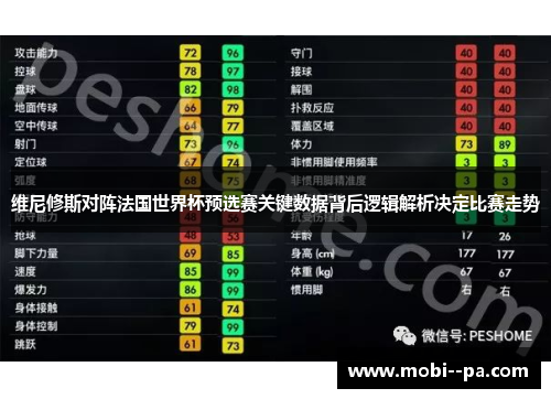 维尼修斯对阵法国世界杯预选赛关键数据背后逻辑解析决定比赛走势