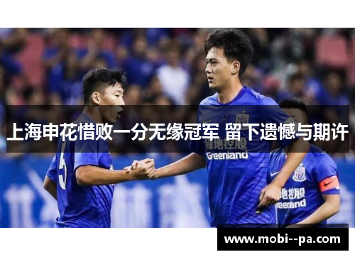 上海申花惜败一分无缘冠军 留下遗憾与期许