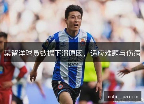 某留洋球员数据下滑原因,适应难题与伤病 某留洋球员数据下滑原因,适应难题与伤病